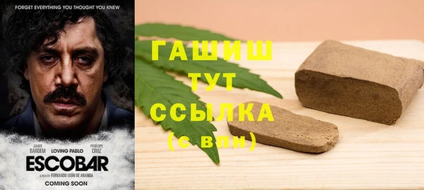 индика Кукмор