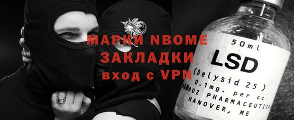 индика Кукмор