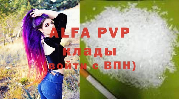 индика Кукмор