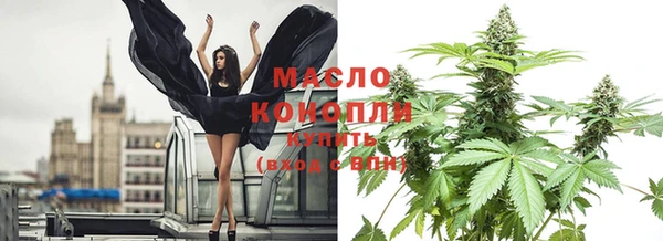 индика Кукмор